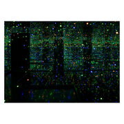 Kusama Green lit Infinity Mirror Room postcard front image - larger